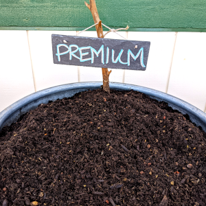 Premium Planters Mix