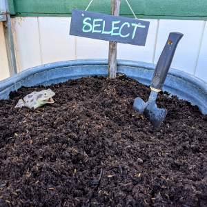 Planter Mix